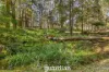36 Derriwong Road, Dural, NSW 2158-Image