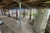36 Duncraigen Street, Norville, Qld 4670-Image