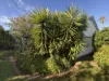 36 Dundas Street, St Arnaud, Vic 3478-Image