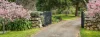 36 Eridge Park Road, Burradoo, NSW 2576-Image