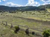 36 Filmers Road, Gowrie Junction, Qld 4352-Image