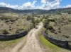 36 Filmers Road, Gowrie Junction, Qld 4352-Image