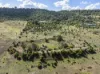 36 Filmers Road, Gowrie Junction, Qld 4352-Image