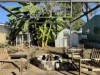 36 FORREST Drive, Moranbah, Qld 4744-Image