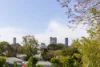 36 Gertrude St, Highgate Hill, Qld 4101-Image