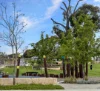 36 Gibberd St, Baldivis, WA 6171-Image