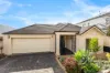 36 Grenache Circuit, Craigburn Farm, SA 5051-Image