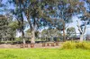 36 Helen Leonard Crescent, Forde, ACT 2914-Image