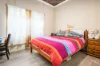 36 Hill Street, Carlton, NSW 2218-Image