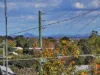 36 Horatio Street, Annerley, Qld 4103-Image
