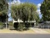 36 Iris ST, Moree, NSW 2400