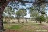 36 Jeffery Street, Carlsruhe, Vic 3442-Image