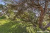 36 Kanburra Street, Rye, Vic 3941-Image
