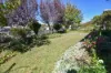 36 King Street, Inverell, NSW 2360-Image