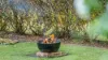 36 Kingsford Drive, Brunswick Heads, NSW 2483-Image