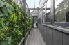 36 Lithgow Street, Abbotsford, Vic 3067-Image
