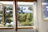 36 McNally Street, Bellingen, NSW 2454-Image