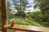 36 McNally Street, Bellingen, NSW 2454-Image