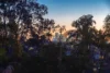 36 Medusa Street, Mosman, NSW 2088-Image
