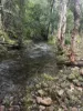 36 Morgan St, Boyne Valley, Qld 4680-Image