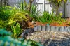 36 Nelson Street, Bungalow, Qld 4870-Image