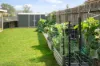 36 Northview Circuit, Medowie, NSW 2318-Image