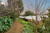 36 Ophelia Grove, Mount Nasura, WA 6112-Image