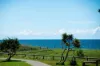 36 Pacific Boulevard, Buddina QLD 4575-Image