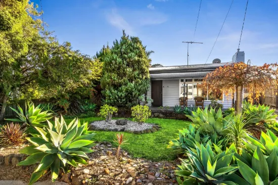 36 Pavo Street, Belmont, Vic 3216