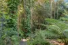 36 Peninsula Drive, Bilambil Heights, NSW 2486-Image