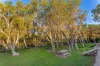 36 Peter Street, Kelso, Qld 4815-Image