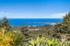 36 Princes Highway, Thirroul, NSW 2515-Image