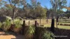 36 Quigley Street, Narrogin, WA 6312-Image