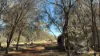 36 Quigley Street, Narrogin, WA 6312-Image