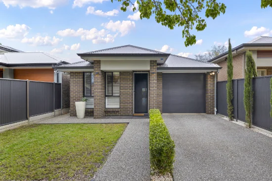 36 Shelley Avenue, Netley, SA 5037
