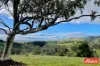 36 Springton Road, Williamstown, SA 5351-Image