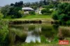 36 Springton Road, Williamstown, SA 5351-Image