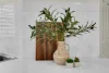 36 St James Street, Forest Lake, Qld 4078-Image