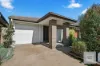 36 Sundowner Parkway, Box Hill, NSW 2765-Image