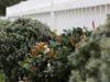 36 Surfleet Place, Kiama, NSW 2533-Image