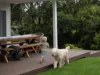 36 Surfleet Place, Kiama, NSW 2533-Image