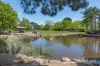 36 Tandarra Drive, Ringwood, Vic 3134-Image