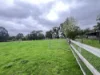 36 Thompsons Road,, Newborough, Vic 3825-Image