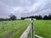 36 Thompsons Road,, Newborough, Vic 3825-Image