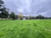 36 Thompsons Road,, Newborough, Vic 3825-Image