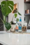 36 Victoria Street, Forestville, SA 5035-Image