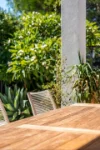 36 Victoria Street, Forestville, SA 5035-Image
