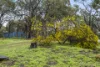 36 Wedgetail Ridge, Bullsbrook, WA 6084-Image