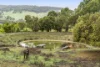 36 Wedgetail Ridge, Bullsbrook, WA 6084-Image