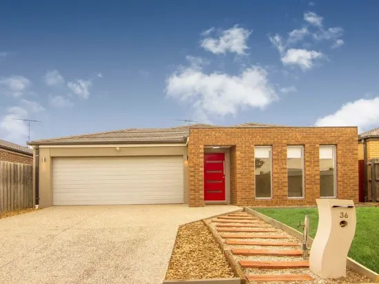 36 Werner Avenue, Marshall, Vic 3216